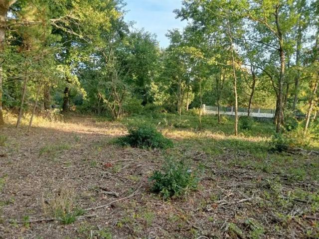Terreno en Venta en Nogueira de Ramuín