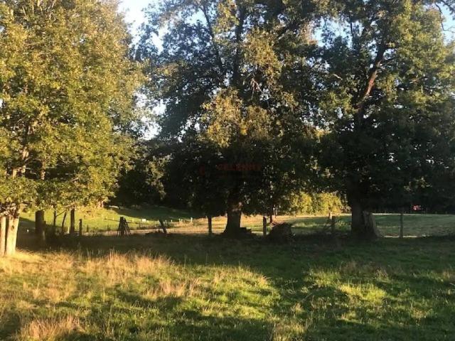 Terreno en Venta en Nogueira de Ramuín
