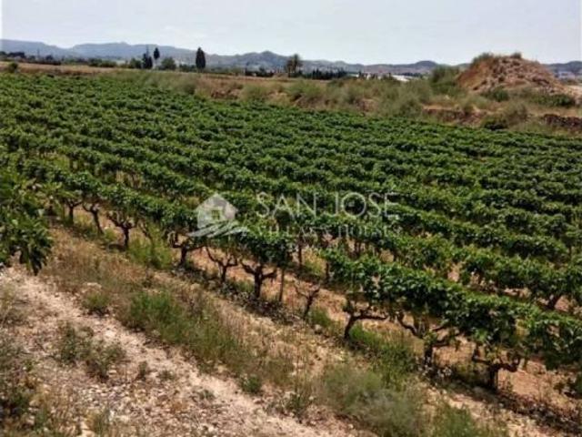 Terreno en Venta en Novelda