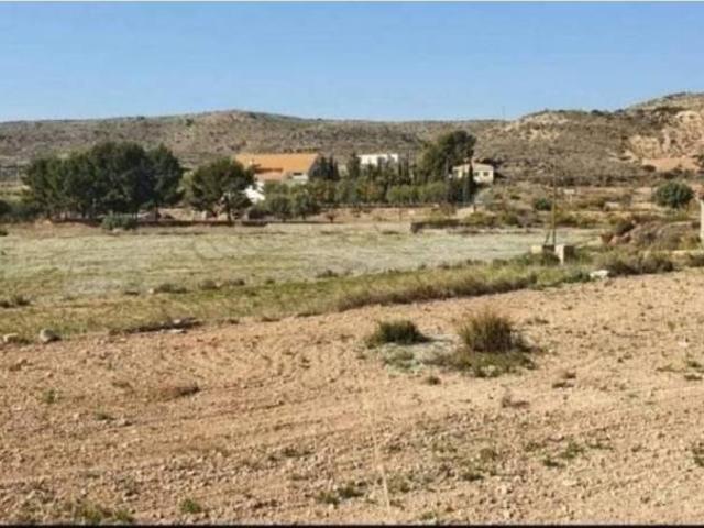 Terreno en Venta en Novelda