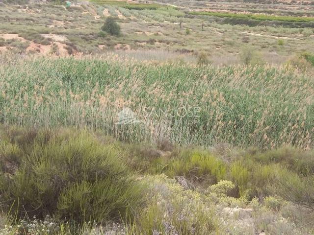 Terreno en Venta en Novelda
