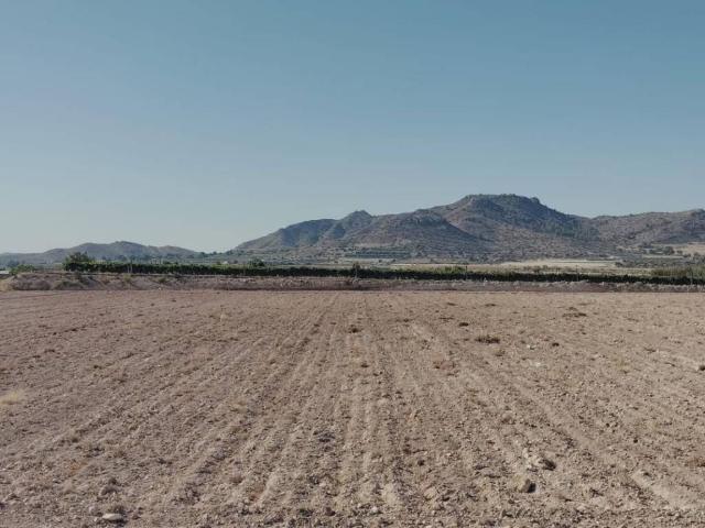 Terreno en Venta en Novelda