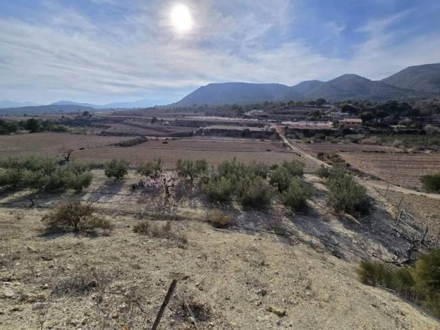 Terreno en Venta en Novelda
