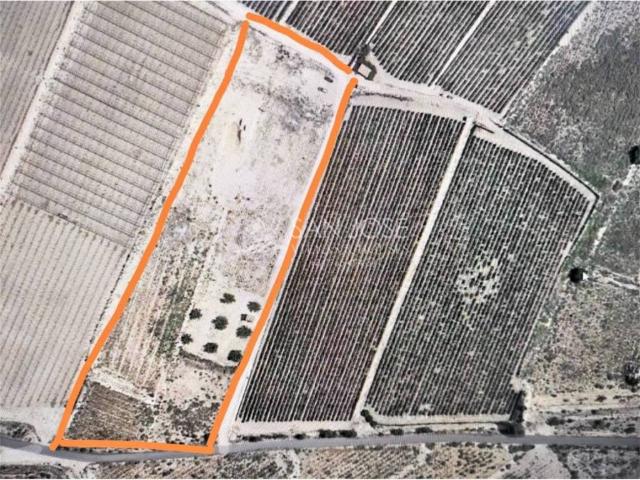 Terreno en Venta en Novelda
