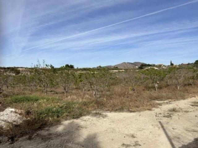 Terreno en Venta en Novelda