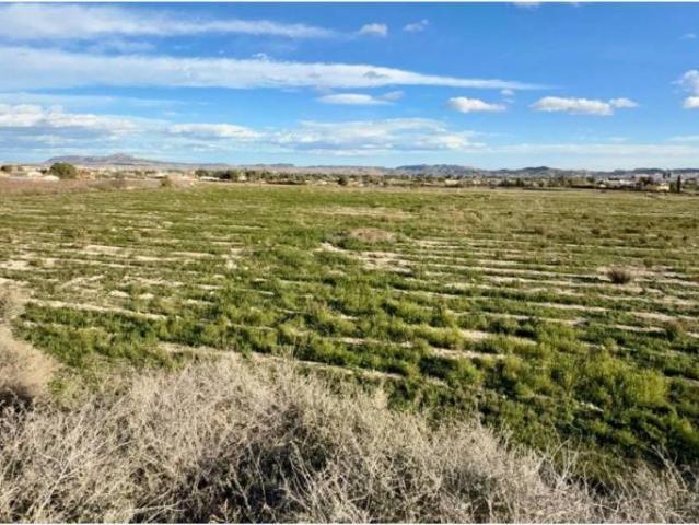 Terreno en Venta en Novelda