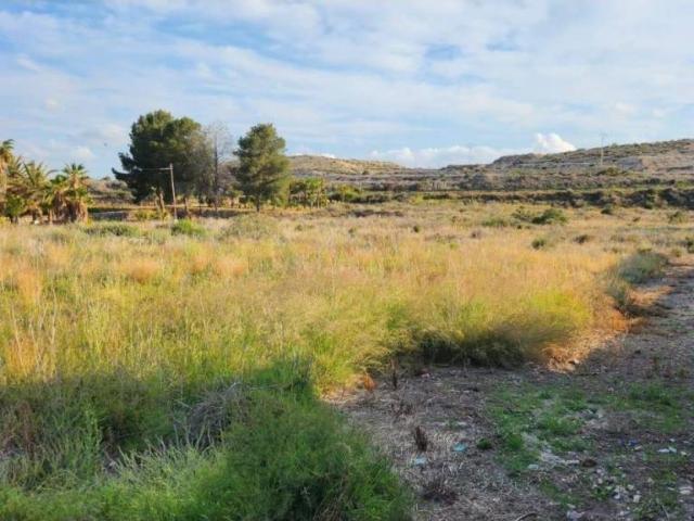 Terreno en Venta en Novelda