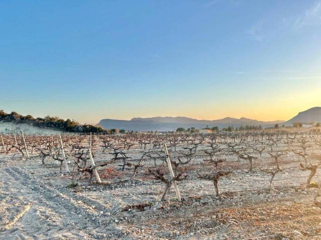 Terreno en Venta en Novelda