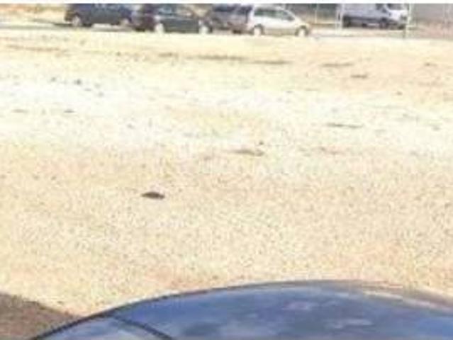 Terreno en Venta en Novelda