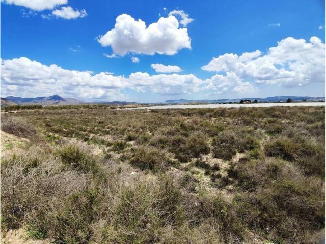 Terreno en Venta en Novelda
