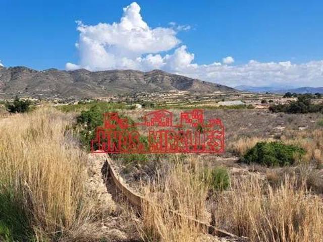Terreno en Venta en Novelda