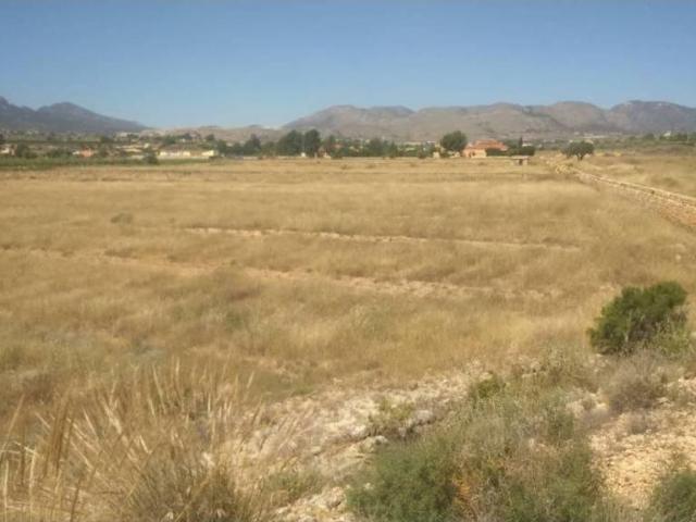 Terreno en Venta en Novelda