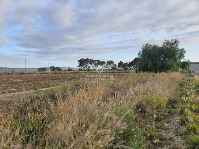 Terreno en Venta en Novelda