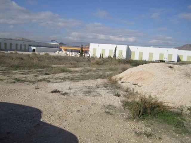 Terreno en Venta en Novelda
