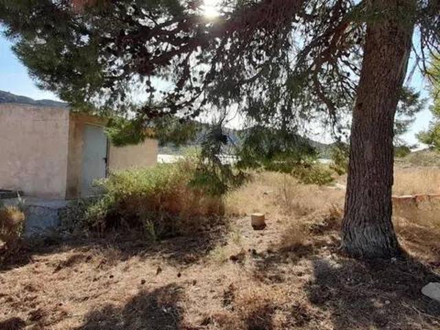 Terreno en Venta en Novelda
