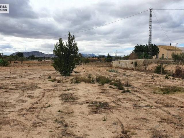 Terreno en Venta en Novelda