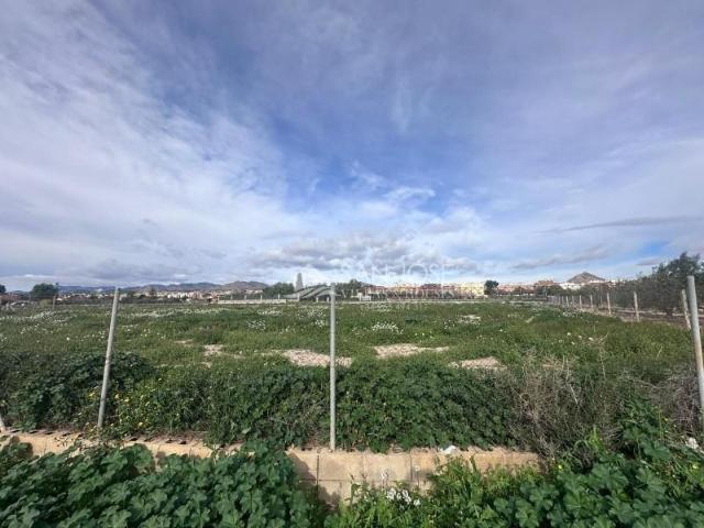 Terreno en venta en Novelda, Comunidad valenciana