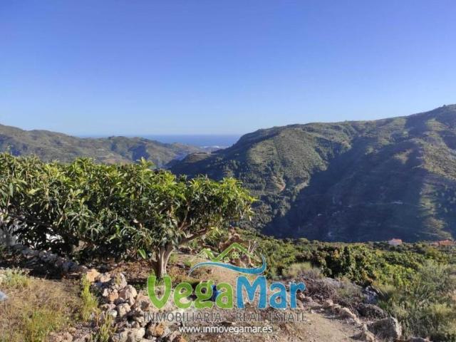 Terreno en venta en Otívar