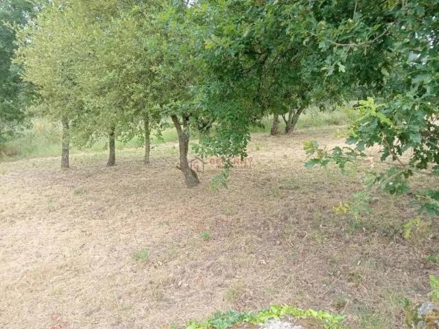 Terreno en Venta en Ourense