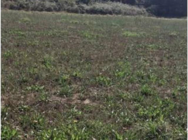 Terreno en Venta en Outeiro de Rei