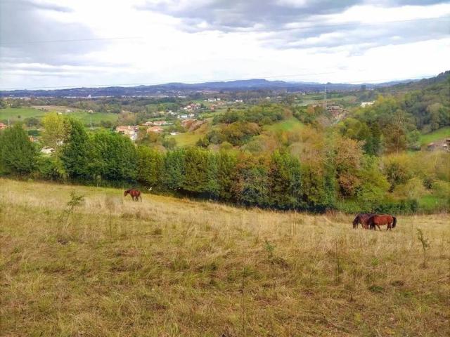 Terreno en Venta en Oviedo