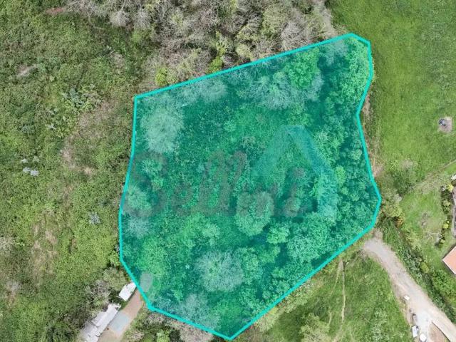 Terreno en Venta en Oviedo