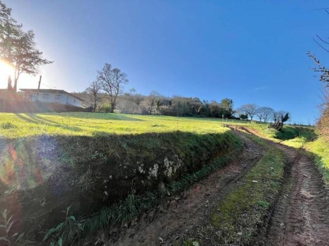 Terreno en Venta en Oviedo