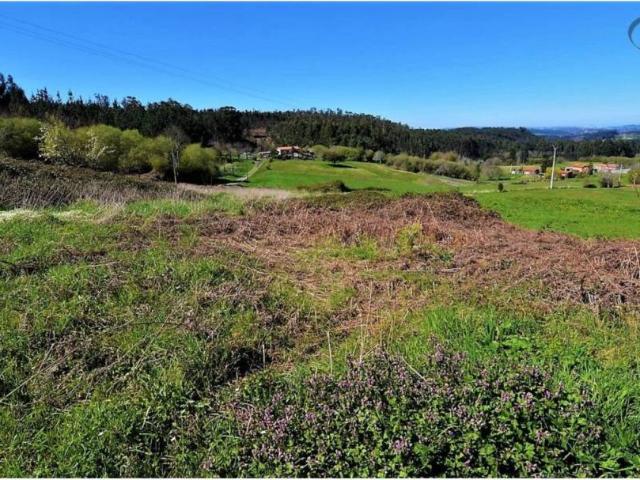 Terreno en Venta en Oza Cesuras