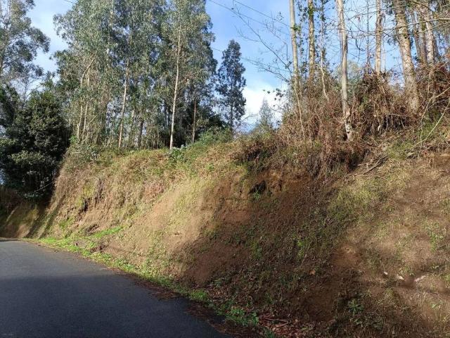 Terreno en Venta en Oza Cesuras