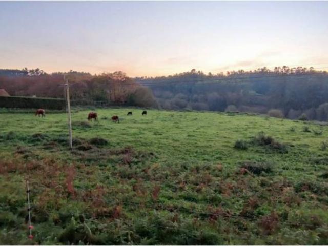 Terreno en Venta en Oza Cesuras