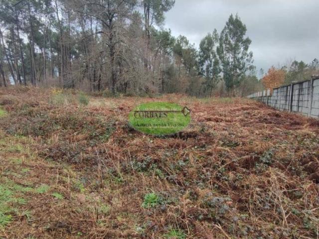 Terreno en Venta en O Carballiño