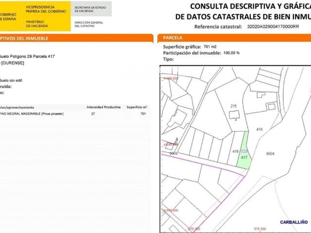 Terreno en Venta en O Carballiño