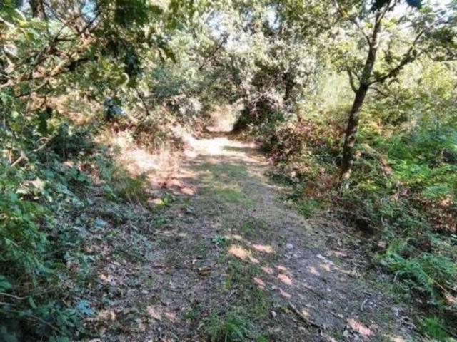 Terreno en Venta en O Saviñao