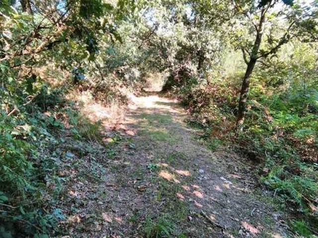 Terreno en Venta en O Saviñao