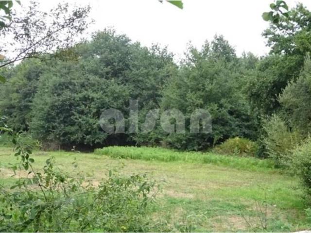 Terreno en Venta en O Porriño