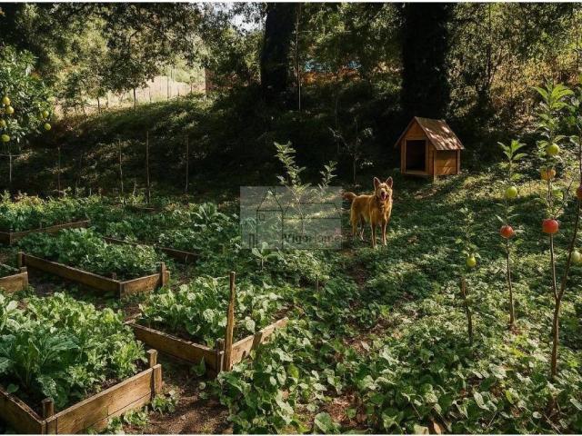 Terreno en Venta en O Porriño