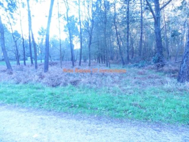 Terreno en venta en O Porriño, Cerca Cuvi
