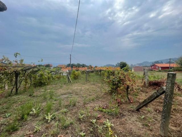 Terreno en venta en O Porriño, Tameiga