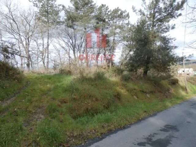 Terreno en Venta en O Pereiro de Aguiar