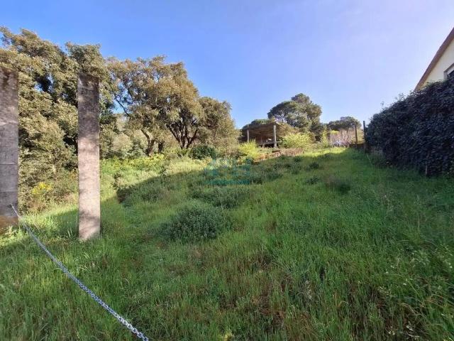 Terreno en Venta en O Pereiro de Aguiar