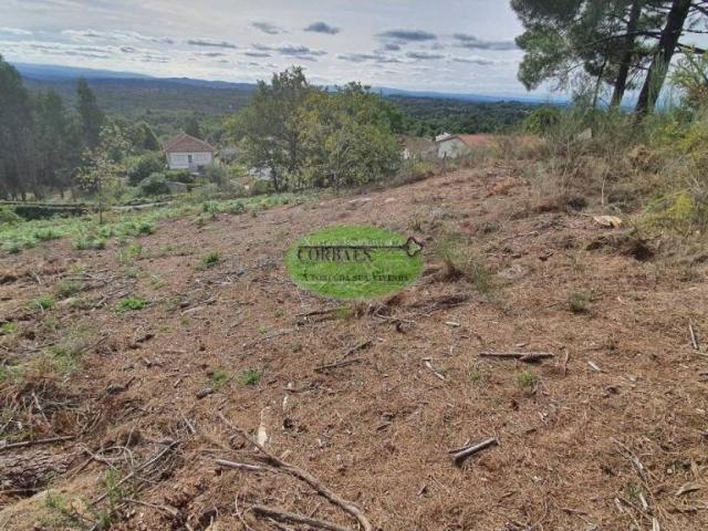 Terreno en Venta en O Pereiro de Aguiar