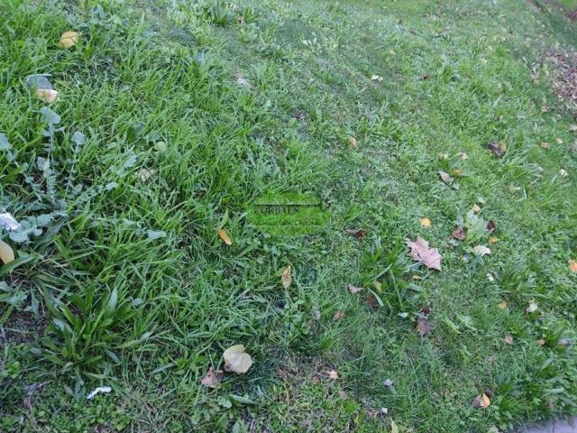 Terreno en Venta en O Pereiro de Aguiar