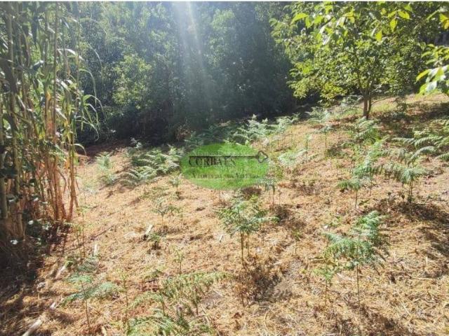 Terreno en Venta en O Pereiro de Aguiar