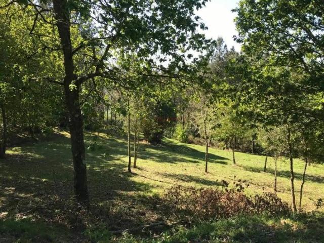 Terreno en Venta en O Pereiro de Aguiar