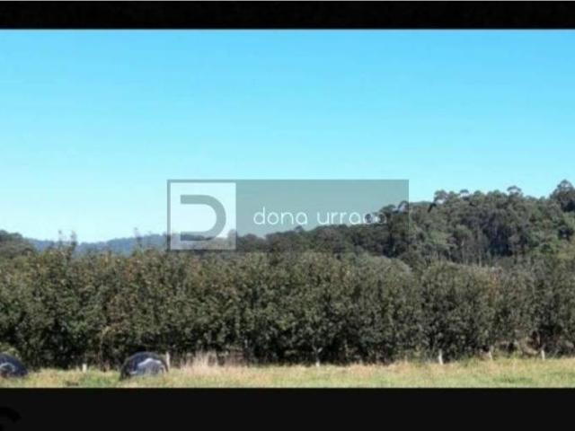 Terreno en Venta en O Rosal