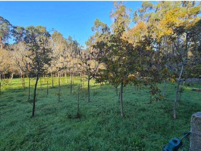 Terreno en Venta en O Rosal