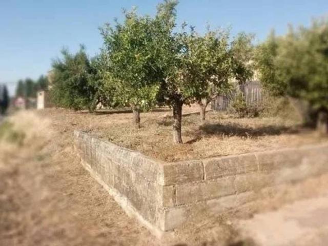Terreno en Venta en Ocón