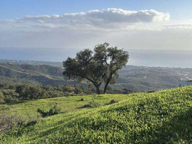 Terreno en Venta en Ojén