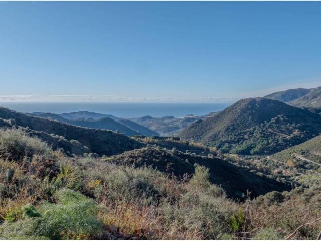 Terreno en Venta en Ojén