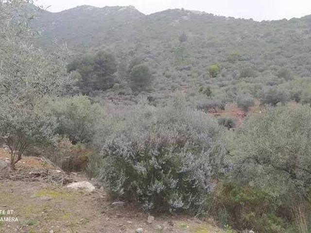 Terreno en Venta en Ojén